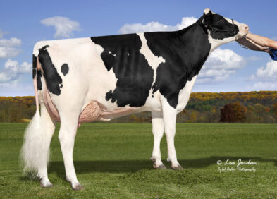 2nd Dam: Welcome Legendary Gale EX90